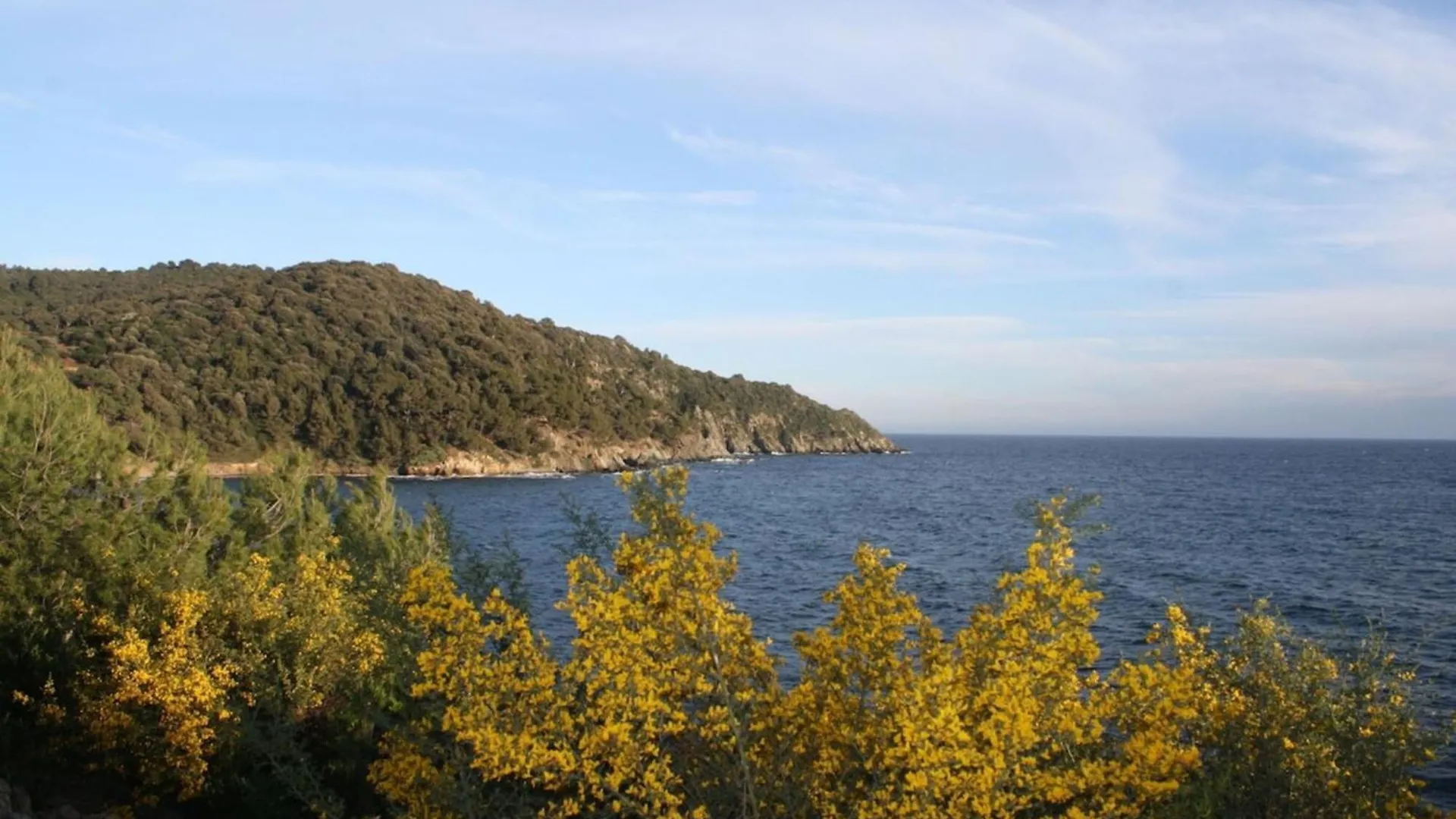 Studio Les Parfums De Mimosas Sainte-Maxime France